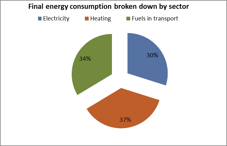 Final energy consumption broken down by sector PT